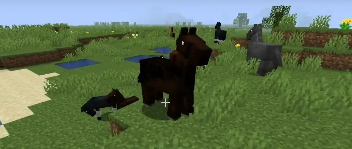 minecraft what do horses eat