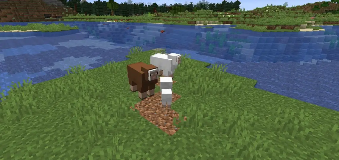 minecraft how to make a bed without sheep