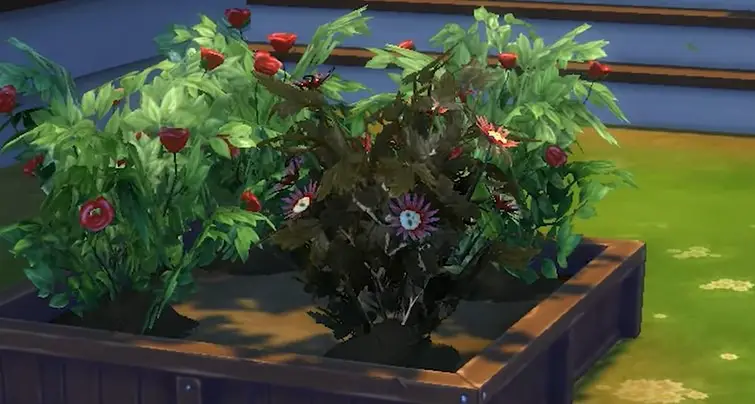 the sims 4 death flower